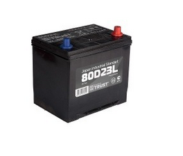 Купить Trust 80D23L 80D23L