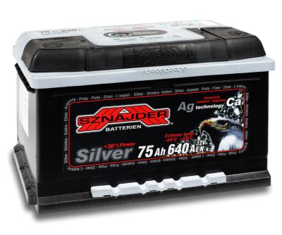 Купить Sznajder 57525 Silver 57525