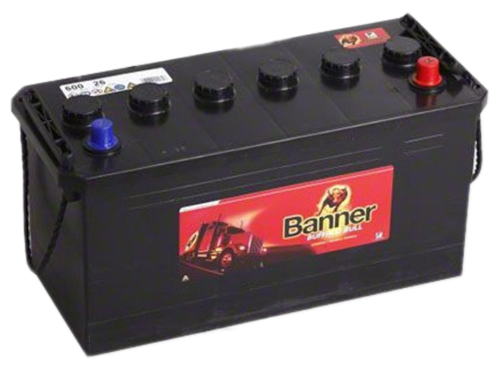 Купить Banner 60026 Buffalo Bull 60026